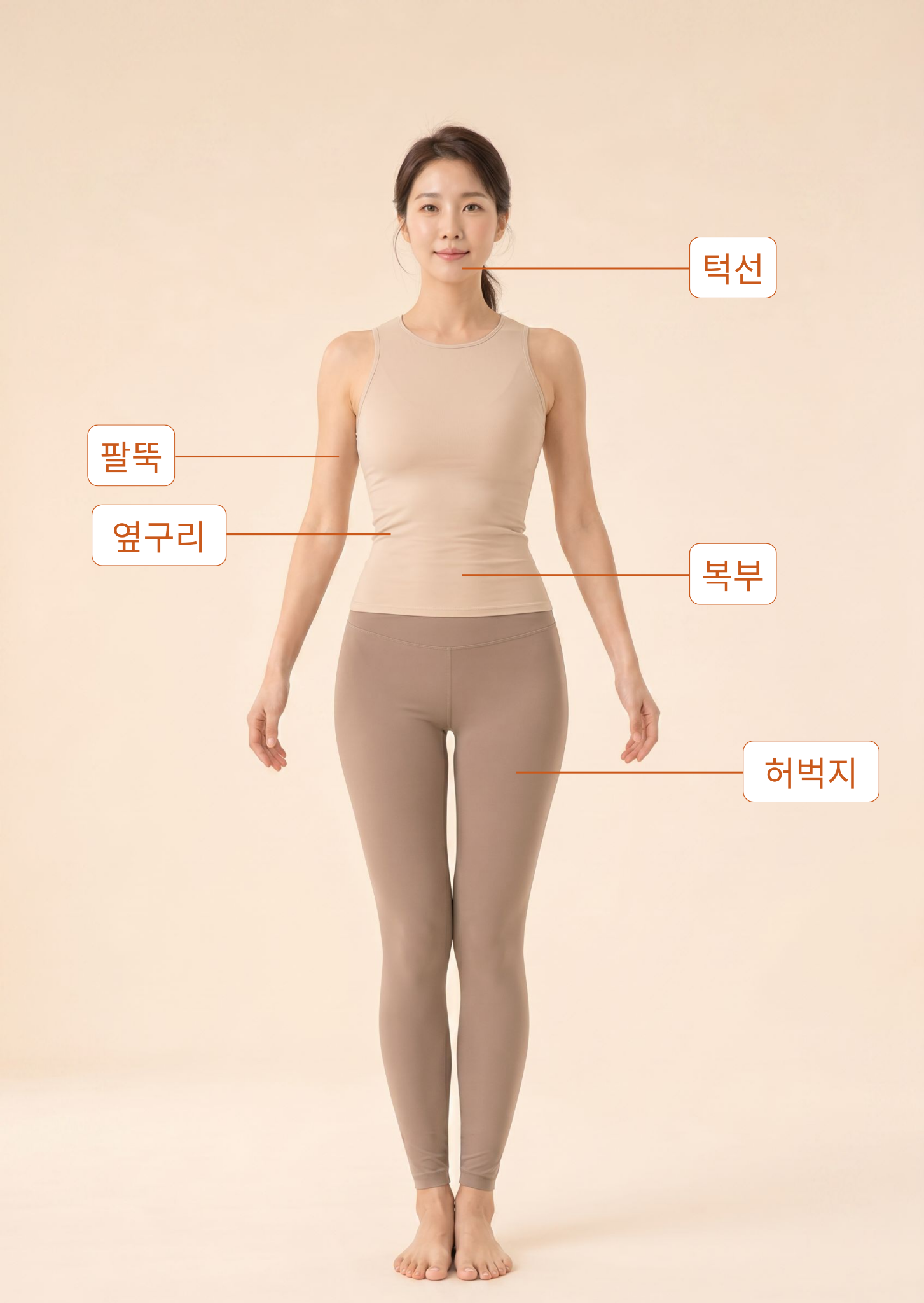 턱선, 팔뚝, 복부, 옆구리와 허벅지 라인약침 관리 부위 안내
